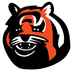 Cincinnati Bengals Fat Logo fabric transfer